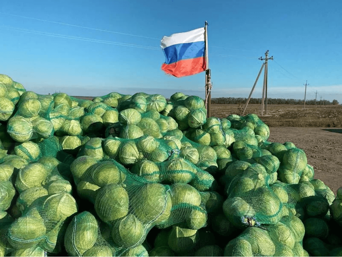 Фото: Александр Черных / Коммерсантъ