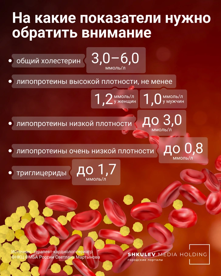 Инфографика: Виталий Калистратов / Городские порталы
