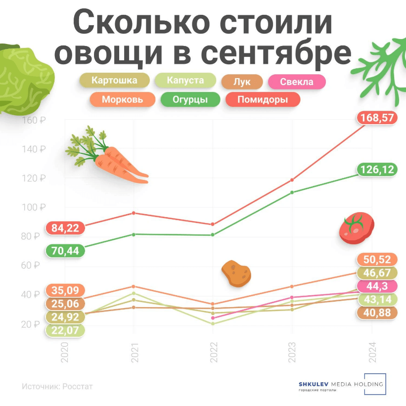 Традиционно август и сентябрь были сезоном дешевых овощей [Источник: Серафима Пантыкина / Городские порталы]